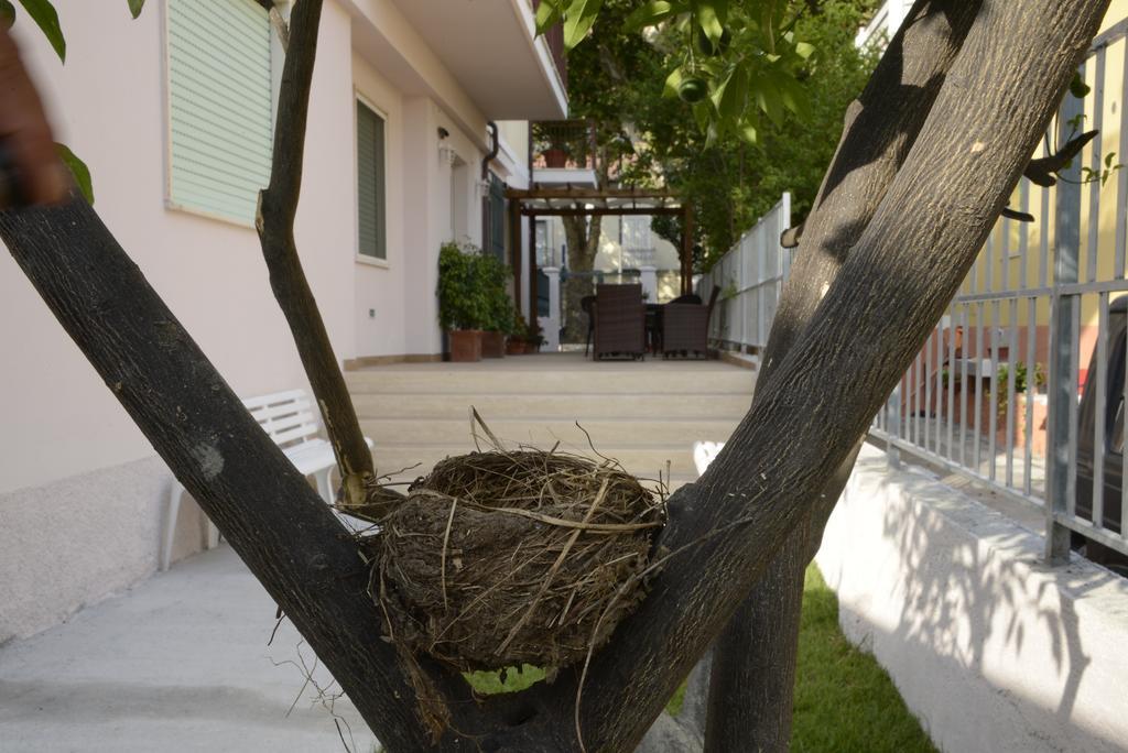 B&B Villa Degli Angeli Praia a Mare Kültér fotó